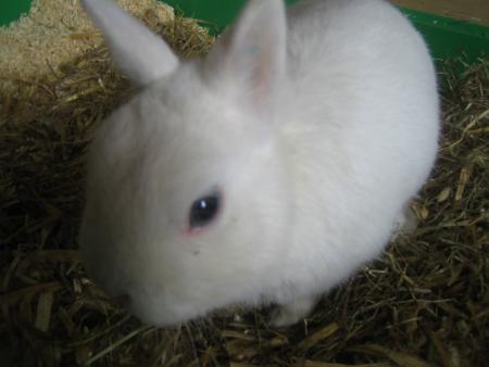 Loulou !!