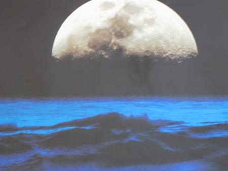I love you like the moon