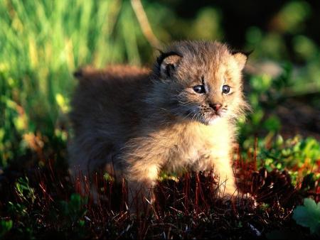 So cute !