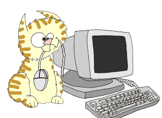 Les chats de nos jours c nimporte koi !!